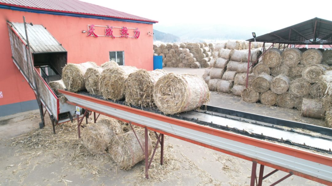 解析燒鋸末木條的生物質(zhì)鍋爐除塵除煙方法